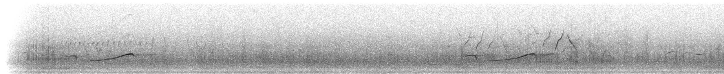 太平洋金斑鴴 - ML303181