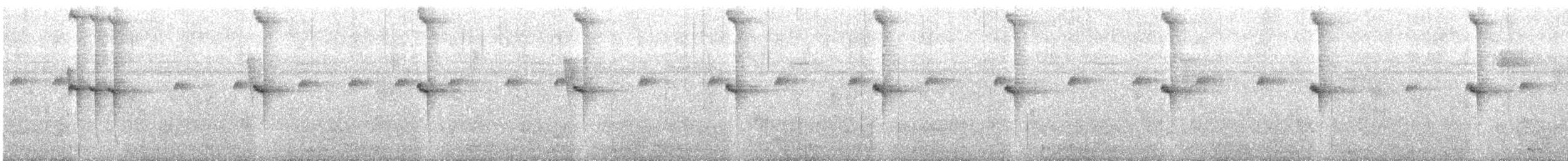 Bronze-tailed Plumeleteer - ML303195641