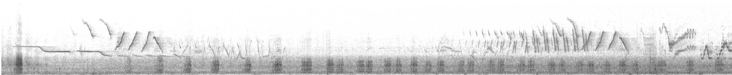Serreta Mediana - ML303260
