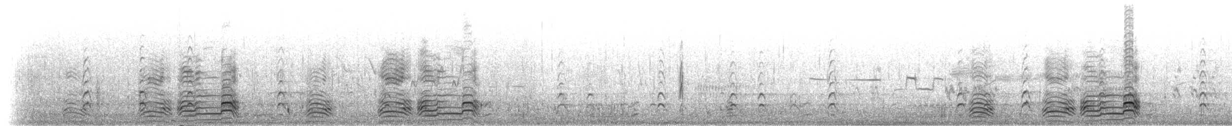 hoholka lední - ML303289