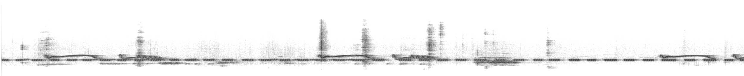Höhennachtschwalbe [ruwenzorii-Gruppe] - ML303334431