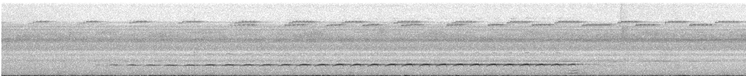 Undulated Antshrike - ML303350011