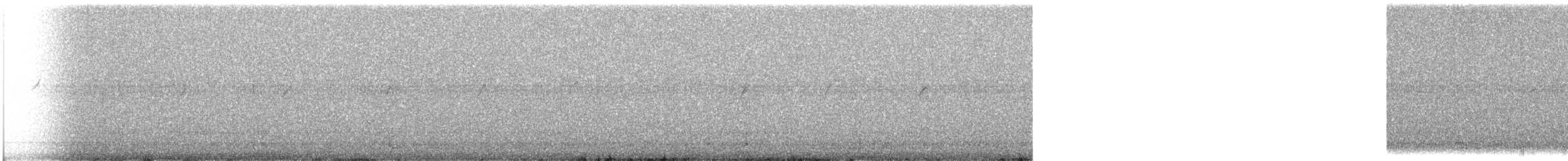pipit sp. - ML303387051