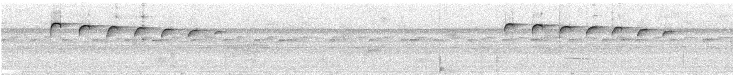 Golden-spangled Piculet (Bahia) - ML303387431