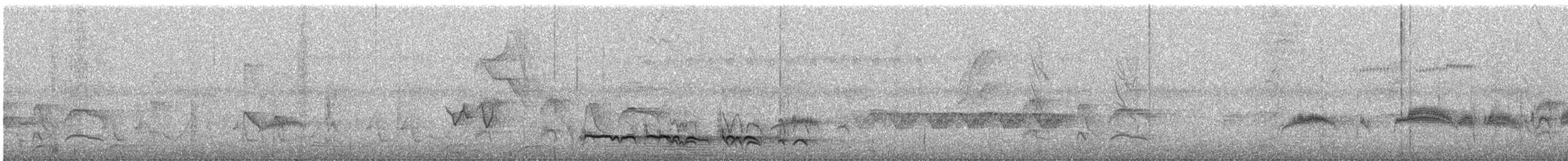 Лінивка-смугохвіст плямистобока - ML303407411