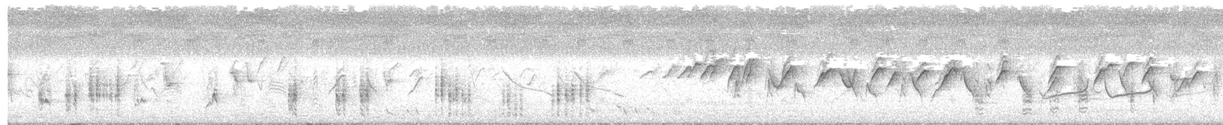Australian Reed Warbler - ML303526281