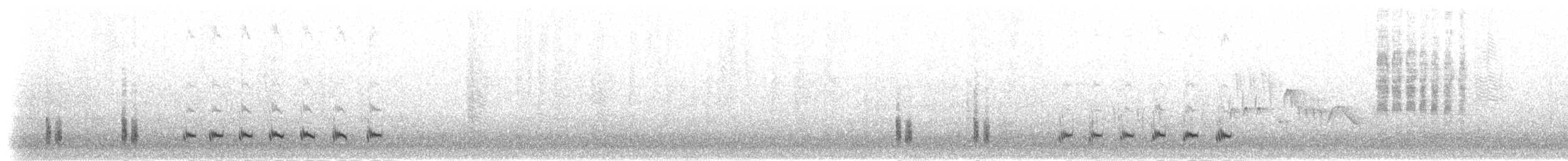 Chilespottdrossel - ML303536