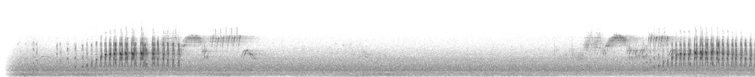 Чернохвостая чилия - ML303557