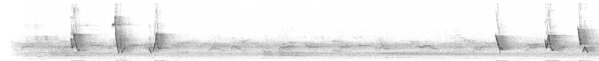Патагонская диука - ML303592