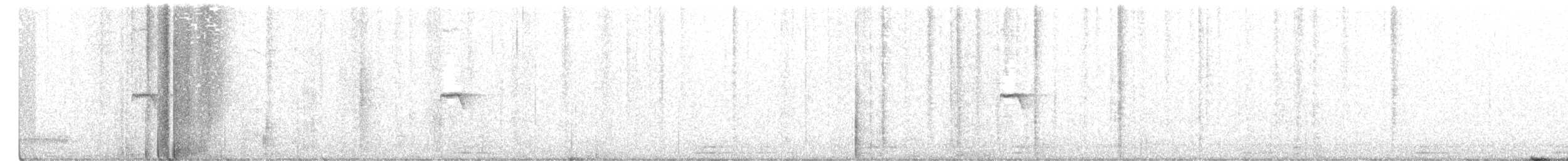gransanger (tristis) (sibirgransanger) - ML303614801
