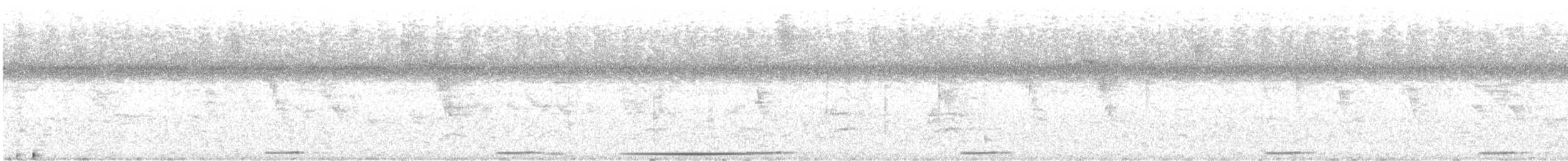 holoubek šedomodrý - ML303615181