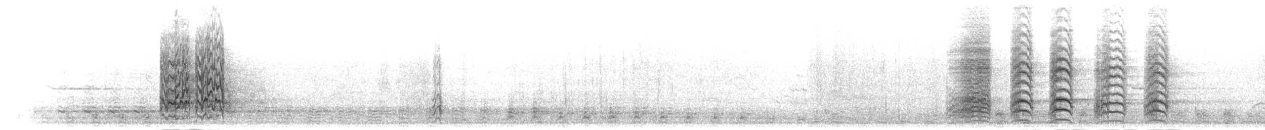 Длинноклювая которра - ML303654