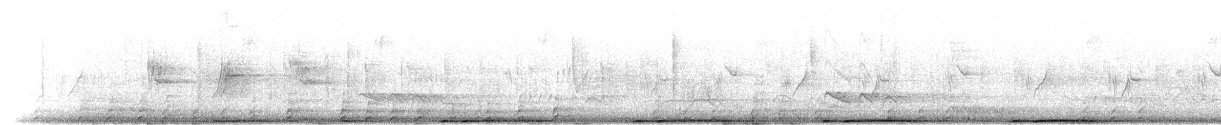 holub chilský - ML303672