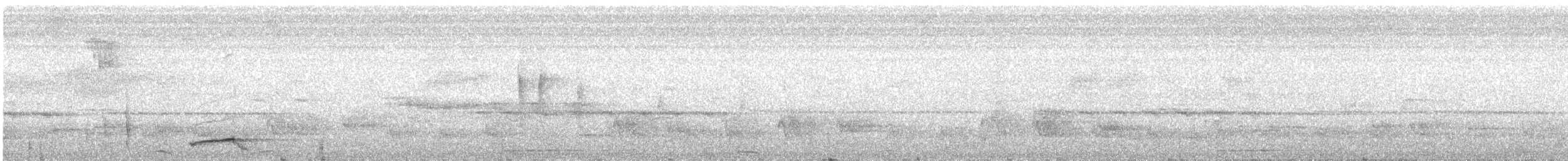 Black-tailed Oriole - ML303692001