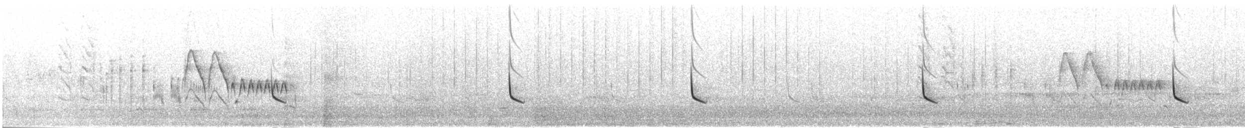 Feueraugen-Scheckentyrann - ML303717