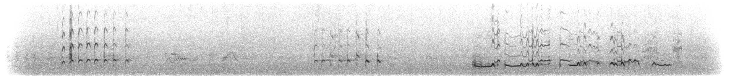 Whimbrel (Hudsonian) - ML303721