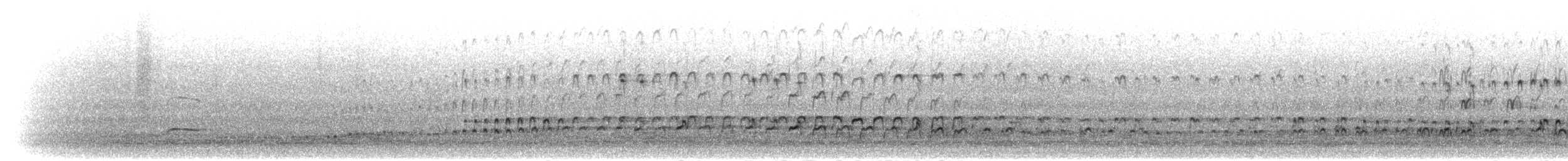 tykknebbsvarttjeld - ML303723