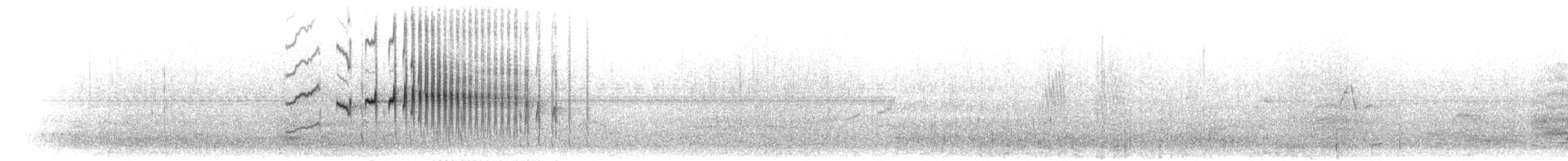 Streifenbrust-Uferwipper - ML303753