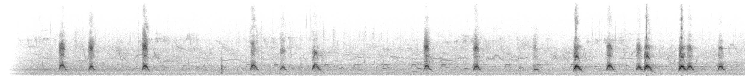 Kara Boyunlu Kuğu - ML303774