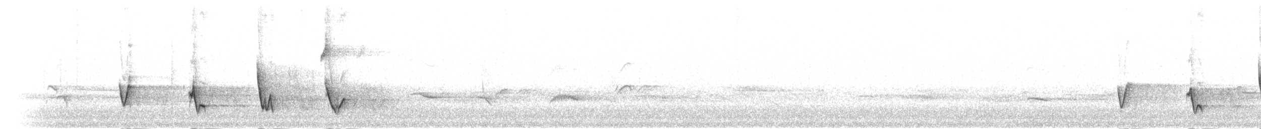 Патагонская диука - ML303784