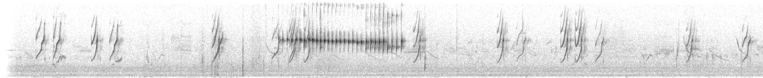 Dünnschnabelcanastero - ML303846