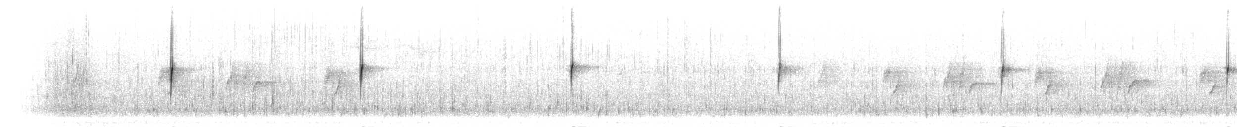 Gray-flanked Cinclodes - ML303851