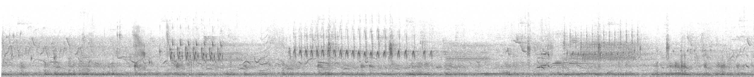 střízlík bažinný [skupina palustris] - ML30386591