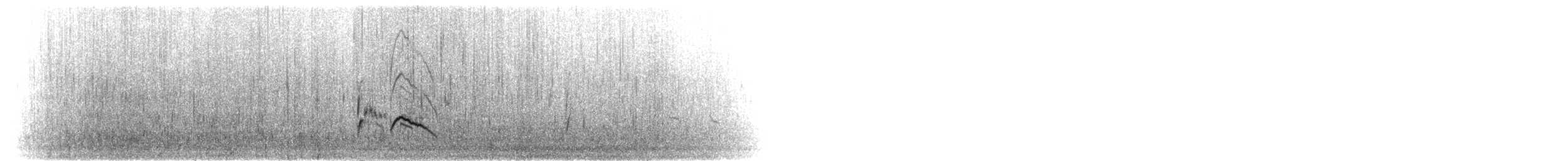kulíkovec šedý - ML303867