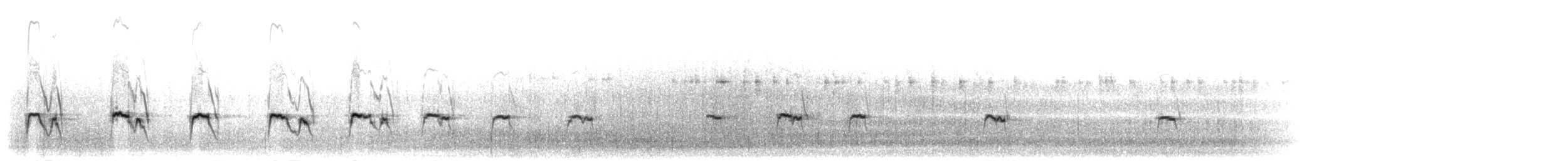 Chorlito Chileno - ML303916