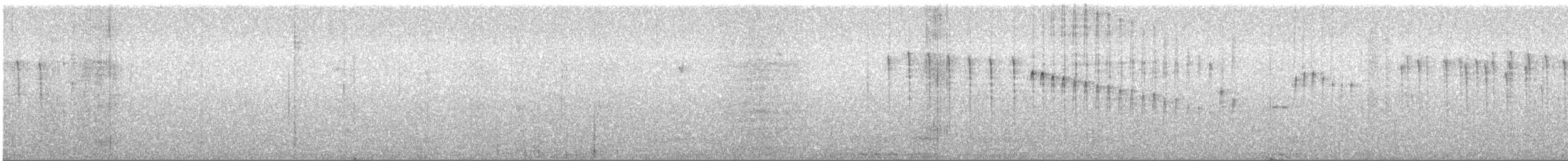 Blue-bearded Helmetcrest - ML303941331