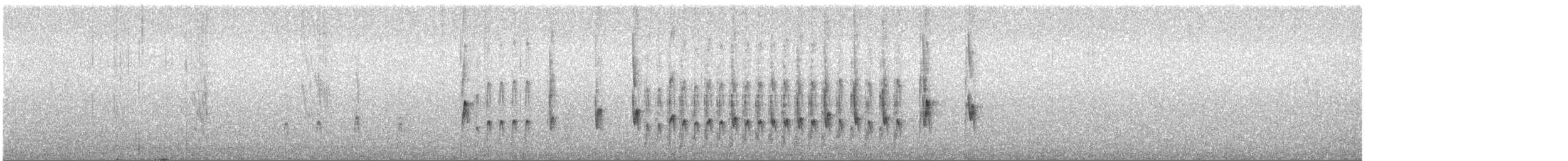 hvitstrupetyrannulett - ML303941781