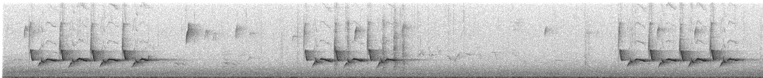 střízlík karolínský - ML303946691