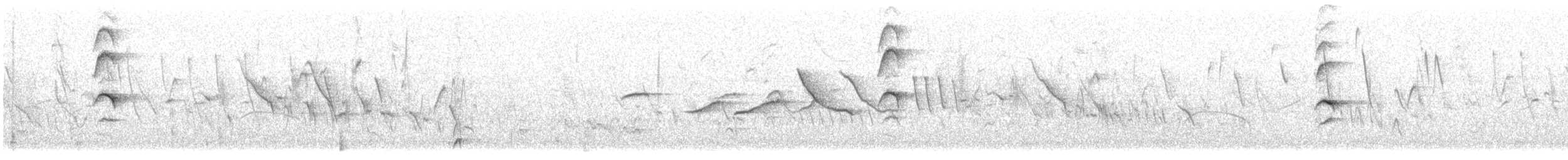 drozd krémovobřichý - ML303951191