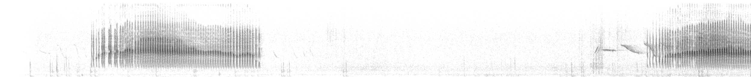 Горихвостковая чилия - ML303955