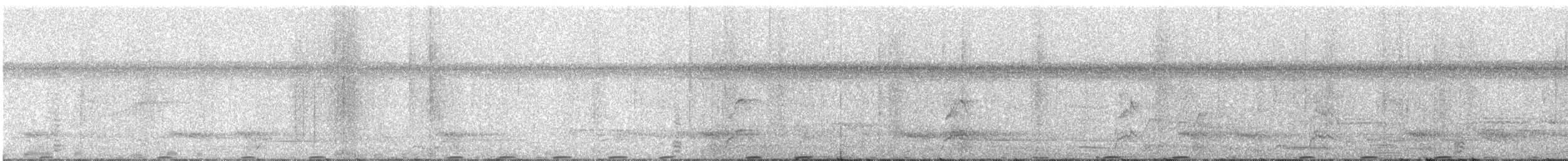 Boz Kanatlı Borazankuşu - ML304053621