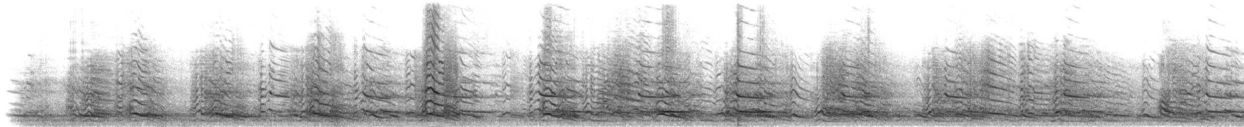 Lesser Black-backed Gull - ML304063
