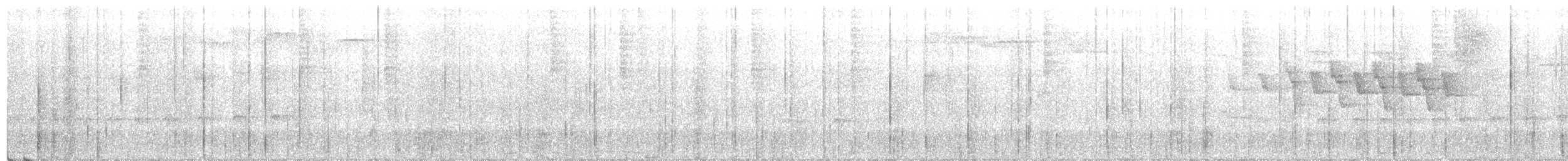 Paseriforme sp. - ML304079421