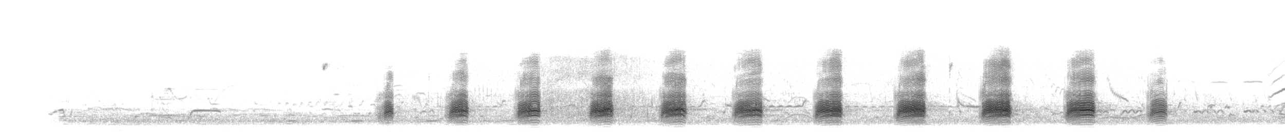 Stockente - ML304089