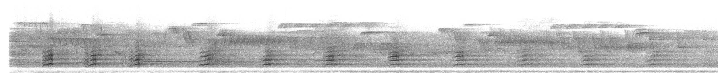 Canard mandarin - ML304135