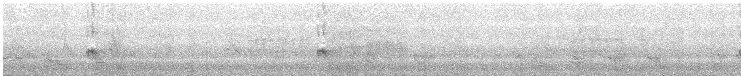 Evening Grosbeak (type 4) - ML30416301