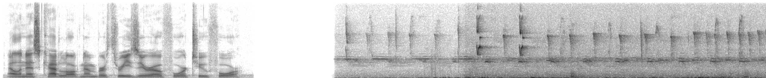 Schwarzstirn-Laubtyrann - ML30424