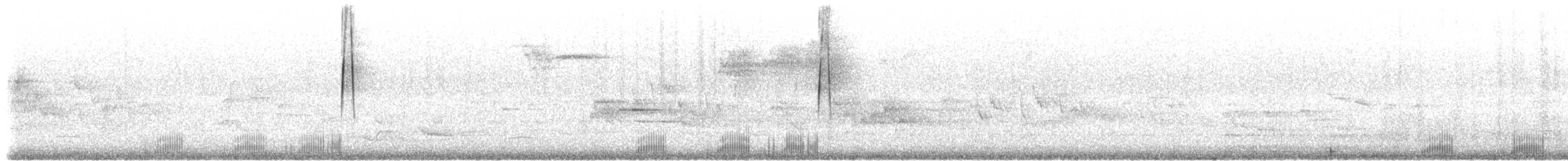 Waldschnepfe - ML304300