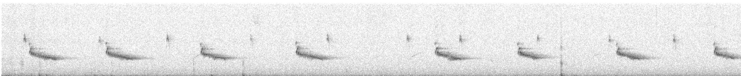 Каролинский крапивник - ML304326441