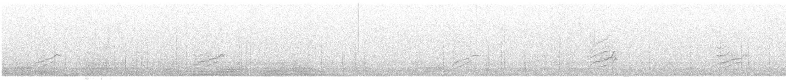 ベニヒワ（亜種 コベニヒワ exilipes/hornemanni） - ML304345801