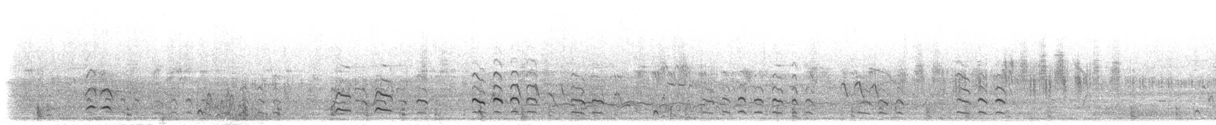לימוזה חומת-בטן - ML304368