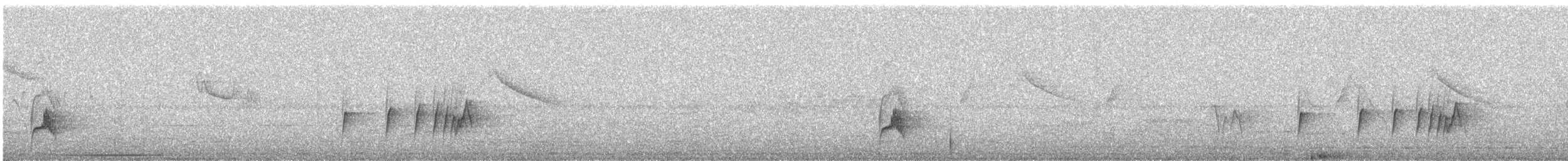 beltetyrann - ML30440071