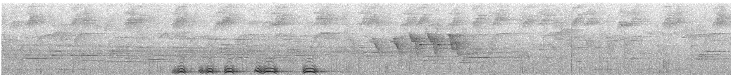 チャイロアメリカフクロウ - ML30440211