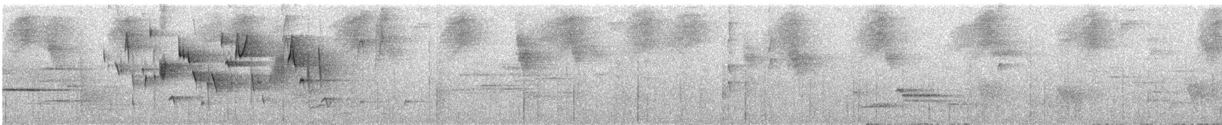 Troglodyte à sourcils roux - ML30440221