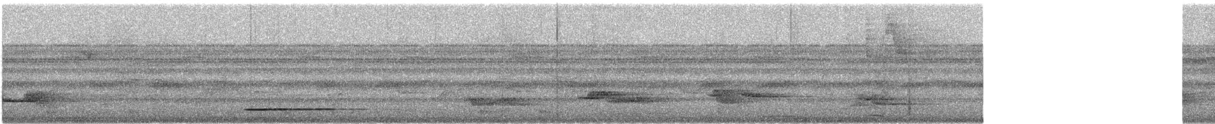 Thicket Tinamou - ML30440361