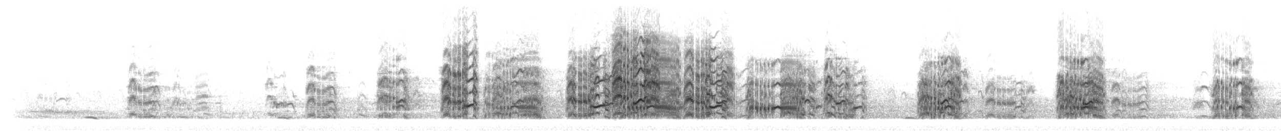 Kara Gagalı Sumru (sandvicensis) - ML304428